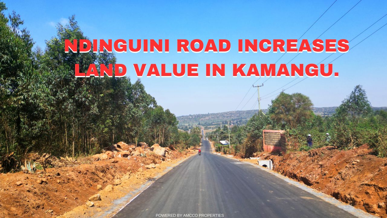 The Impact of Ndinguini Tarmac Road on Land Value in Kamangu.